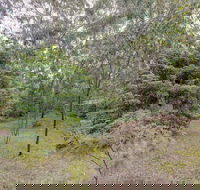 Lightwood - Darwin Holiday