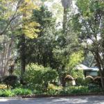 Two Sisters Chalets - Darwin Holiday 1