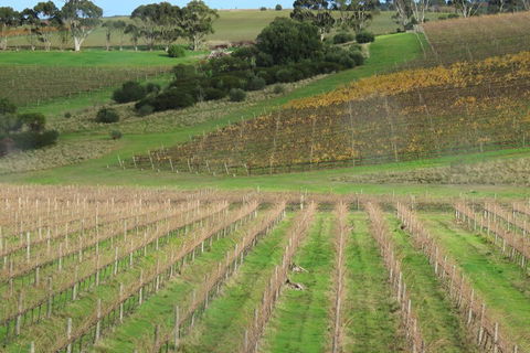 Hotel California Road Inkwell Wines - Darwin Holiday 4