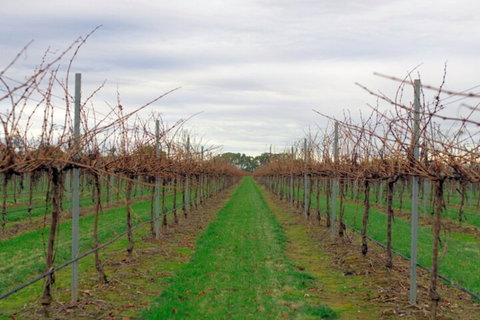 Yalumba Menzies Retreat - Darwin Holiday 5