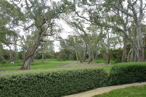 Yalumba Menzies Retreat - Darwin Holiday 2