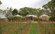 Yalumba Menzies Retreat - thumb 3
