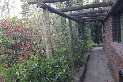 Nice House In Singleton Hunter Valley - Darwin Holiday 3