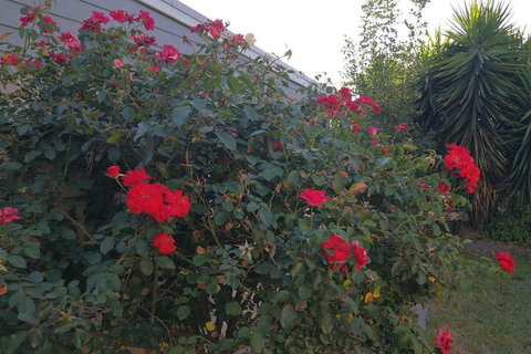 6-Bedroom House Singleton Hunter Valley - Darwin Holiday 6