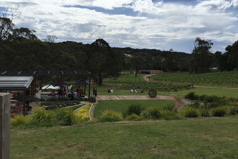 Aquawaters House By Barefoot Beach Stays - Darwin Holiday 5