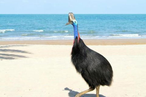 Kirrama 3 - Darwin Holiday 4