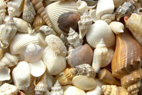 Kirrama 3 - Darwin Holiday 2