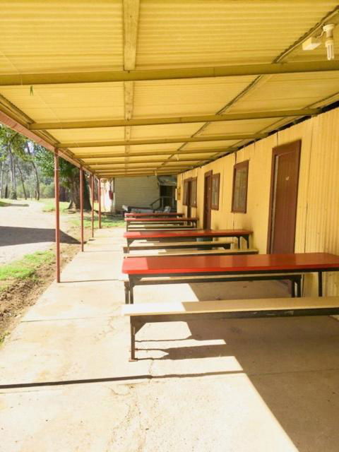 Bright Cabin Park - Darwin Holiday 5