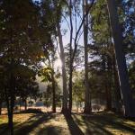 Bright Cabin Park - Darwin Holiday 0