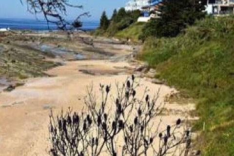 Surf Side Palms 12 - Darwin Holiday 7