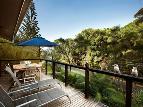 Corals At Elizabeth Beach - Darwin Holiday 5