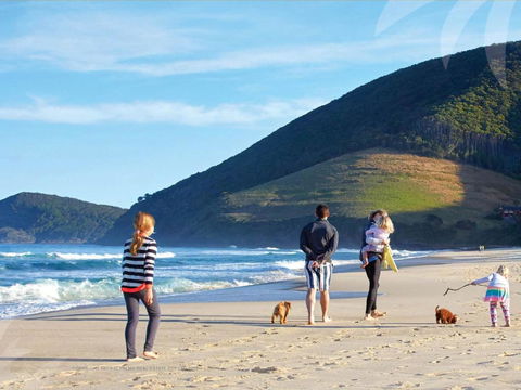 True Blue - Darwin Holiday 3