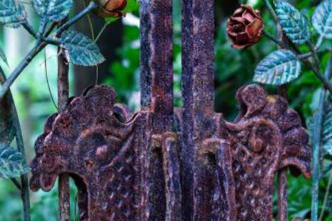 Whitsundays Bnb Retreat - Darwin Holiday 6