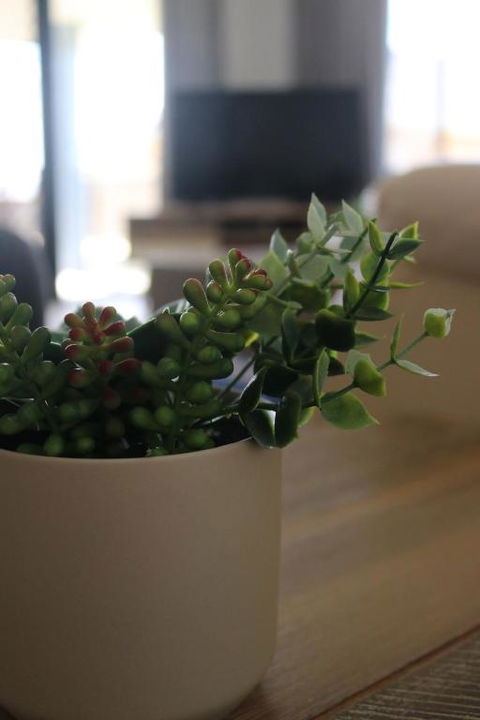 Hi Surf Unit 3 92 Head St. Forster - Darwin Holiday 3