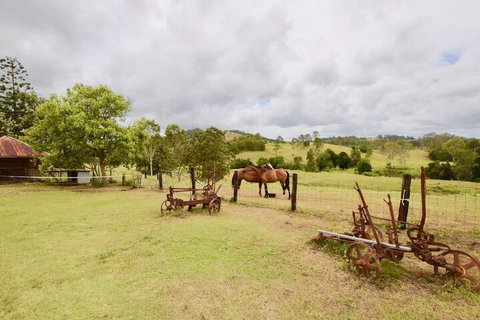 Country Breeze Farm Stay - Darwin Holiday 1