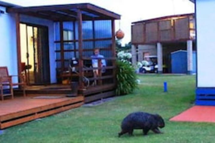 Kelso TAS Darwin Holiday