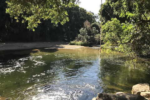 The G - Darwin Holiday 0