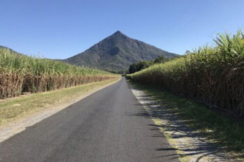 The G - Darwin Holiday 3