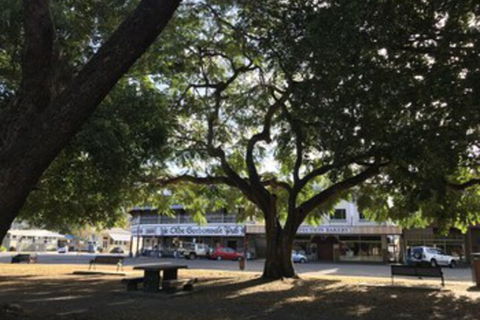 The G - Darwin Holiday 1