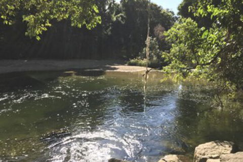 The G - Darwin Holiday 4