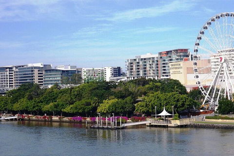 Bribane Chinatown 2bed Apt + Parking Pool Gym Qfv147 8 - Darwin Holiday 5