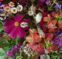 Ahvenbloem Park Winganna - Darwin Holiday