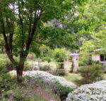 Naturescape - Darwin Holiday