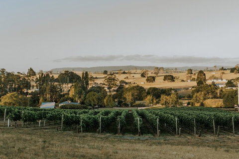 The Cottage At 3 Willows Vineyard - Darwin Holiday 7