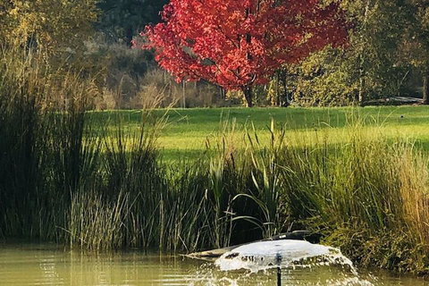 The Cottage At 3 Willows Vineyard - Darwin Holiday 5