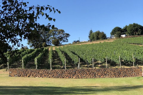 The Cottage At 3 Willows Vineyard - Darwin Holiday 6