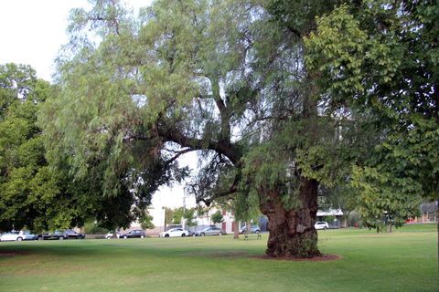 Adelaide Central Apartment - 3BR, 2Bath & Carpark - Darwin Holiday 3