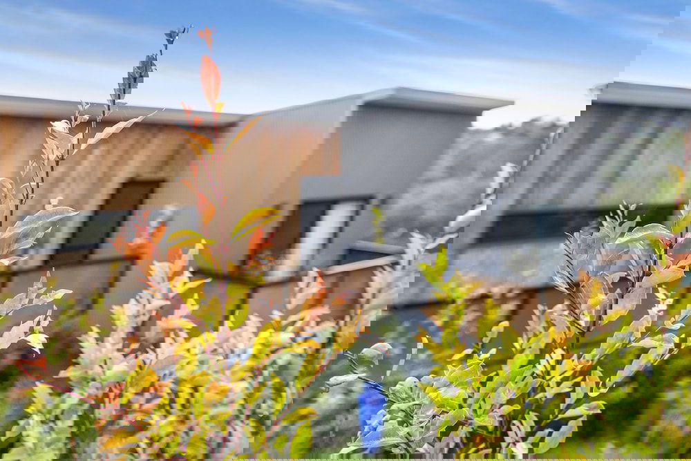 Katoomba NSW Darwin Holiday