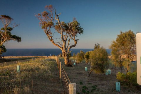 Fleurieu Coastal Retreat Lot 150 Myponga Beach Road - Darwin Holiday 2