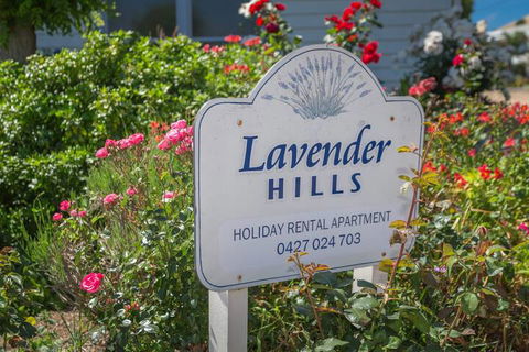 Lavender Hills 12 Bennett Street - Darwin Holiday 7