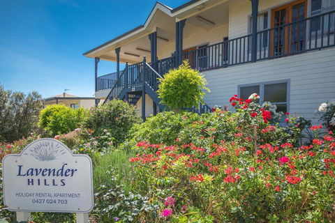 Lavender Hills 12 Bennett Street - Darwin Holiday 3