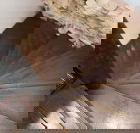 Historic 1890s House With Terraced Backyard Deck H346 - Darwin Holiday