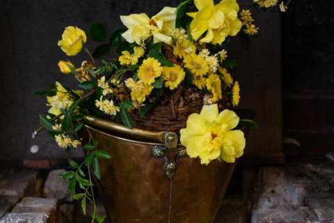 Sargeants & Armoury Cottages 1823 - Darwin Holiday 6