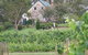 Craigie Knowe Cottage & Vineyard - thumb 0