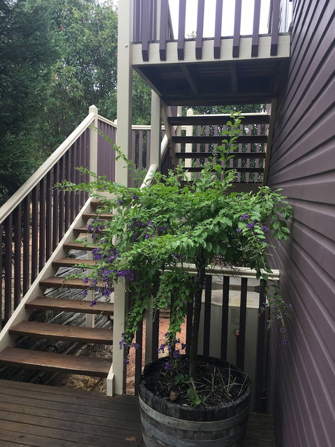 Hunter Valley Cooperage B&B - Darwin Holiday 1