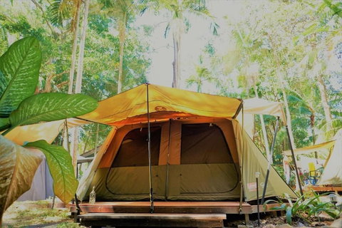 Dougies Backpackers - Darwin Holiday 5