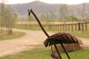 Pemberley Grange - Darwin Holiday 0