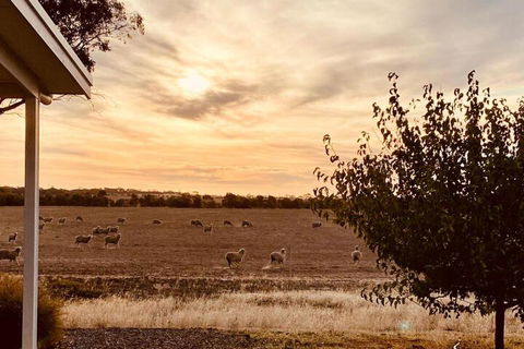 Marys Farm Cottages - Darwin Holiday 3