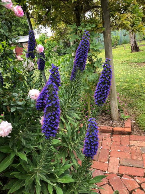 Barossa Barn Bed & Breakfast - Darwin Holiday 2