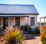 Circa Ruby Mint - Darwin Holiday