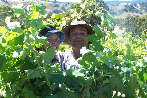 Wimmera Hills Winery - Darwin Holiday 2