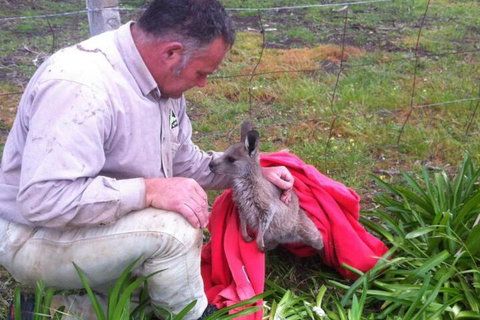 Wimmera Hills Winery - Darwin Holiday 7