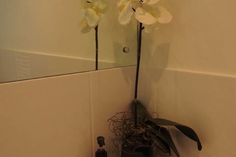 Sanctuary In The Valley - Darwin Holiday 4