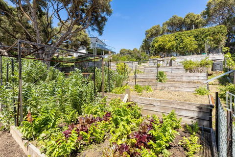 Top Of Rye - Darwin Holiday 5