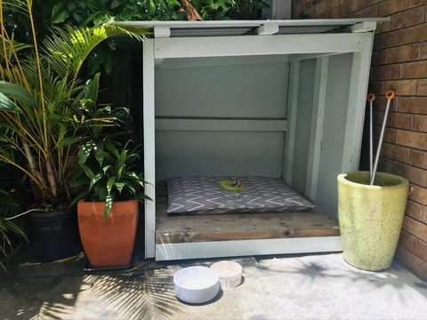 Jimmys Shout Pet Friendly - Darwin Holiday 3