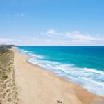 Jimmys Shout Pet Friendly - Darwin Holiday 0